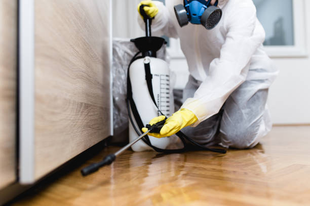 Best Exterminator Services  in Mystic, CT