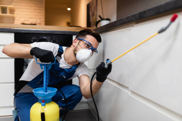 Best Emergency Pest Control  in Mystic, CT