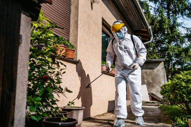Best Affordable Pest Control Services  in Mystic, CT