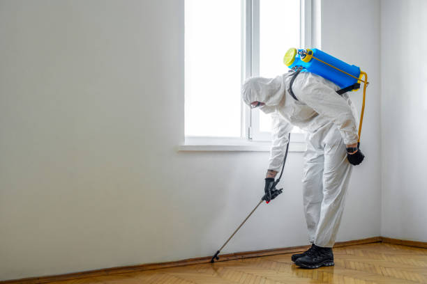 Best Ant Control Services  in Mystic, CT