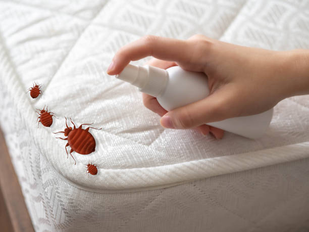 Best Best Pest Control Companies  in Mystic, CT