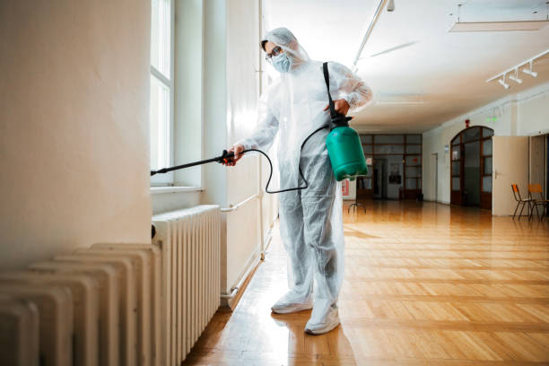 Best Pest Inspection Near Me  in Mystic, CT