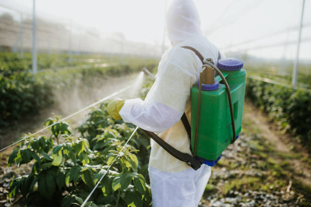 Best Commercial Pest Control Services  in Mystic, CT